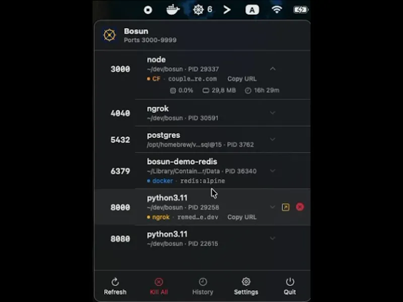 Bosun screenshot 1 (video preview)