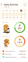Calorie Tracker Buddy gallery image