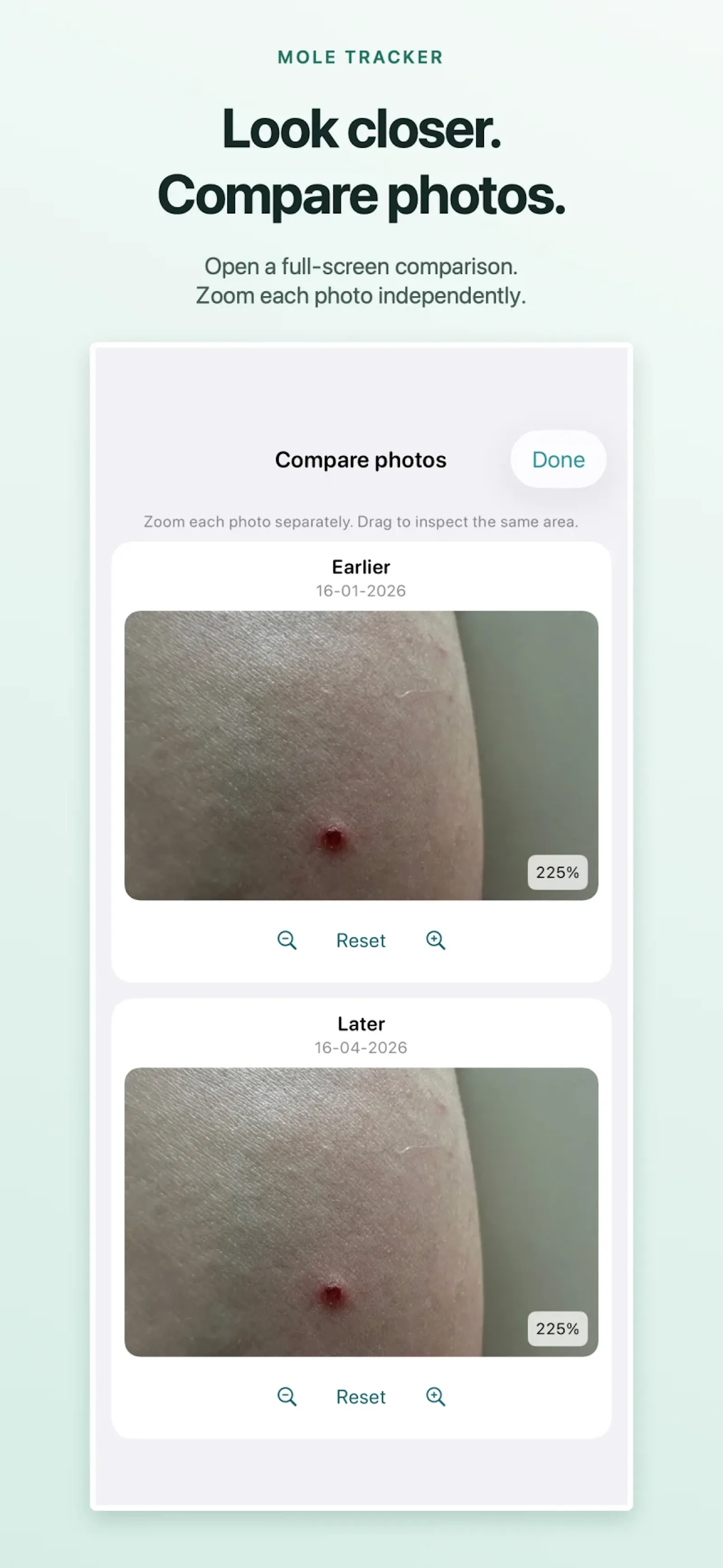 Mole Tracker screenshot 1