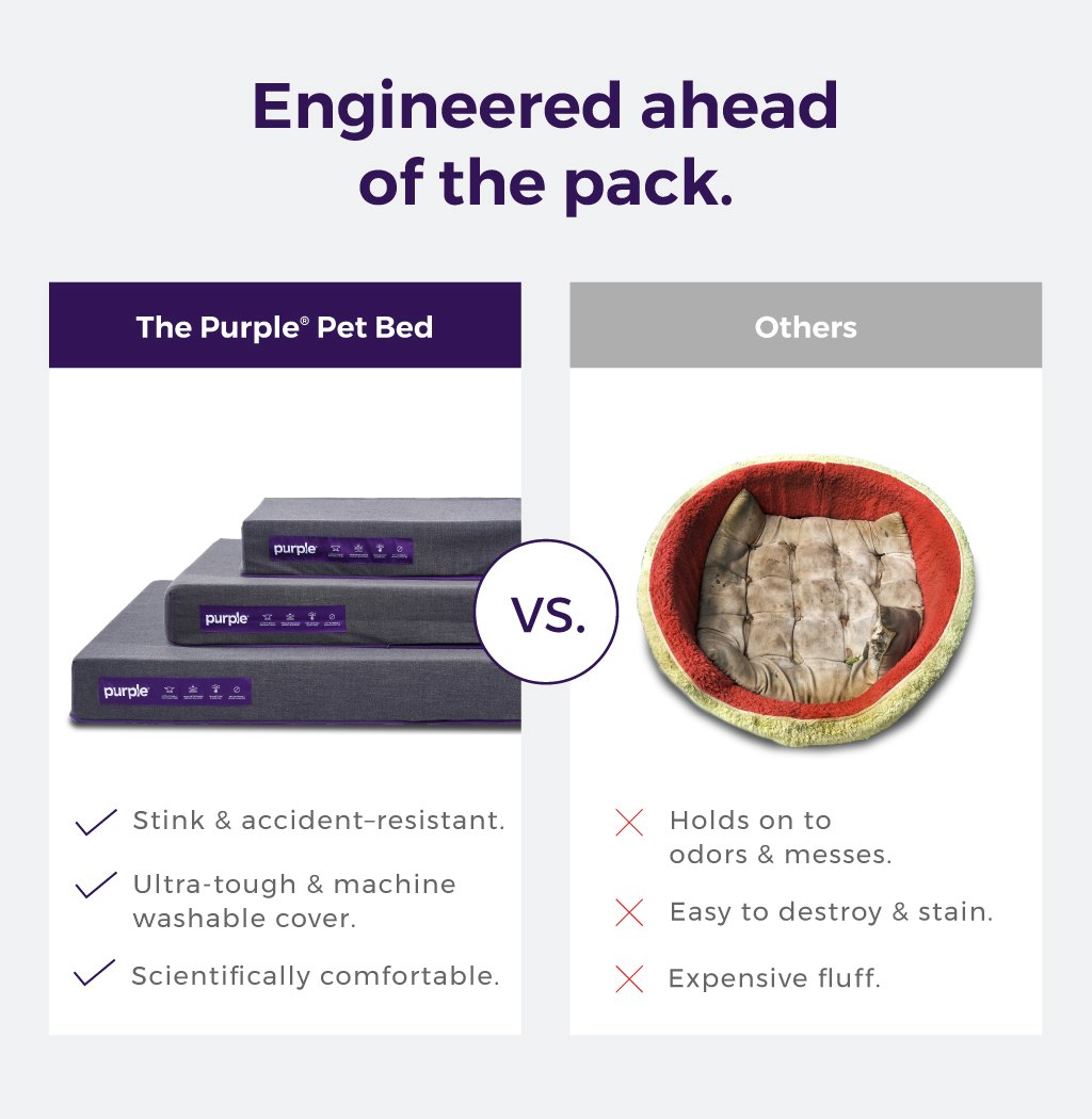 Purple Pet Bed gallery image