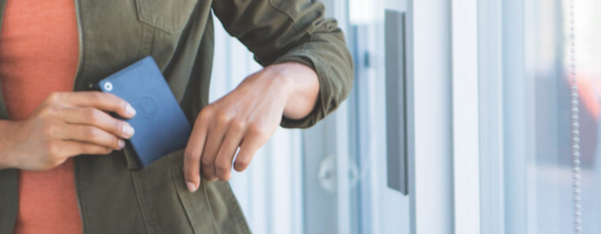 Kangaroo gallery image