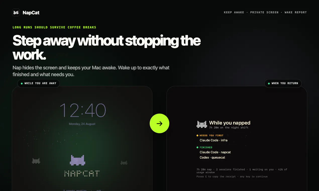 NapCat gallery image