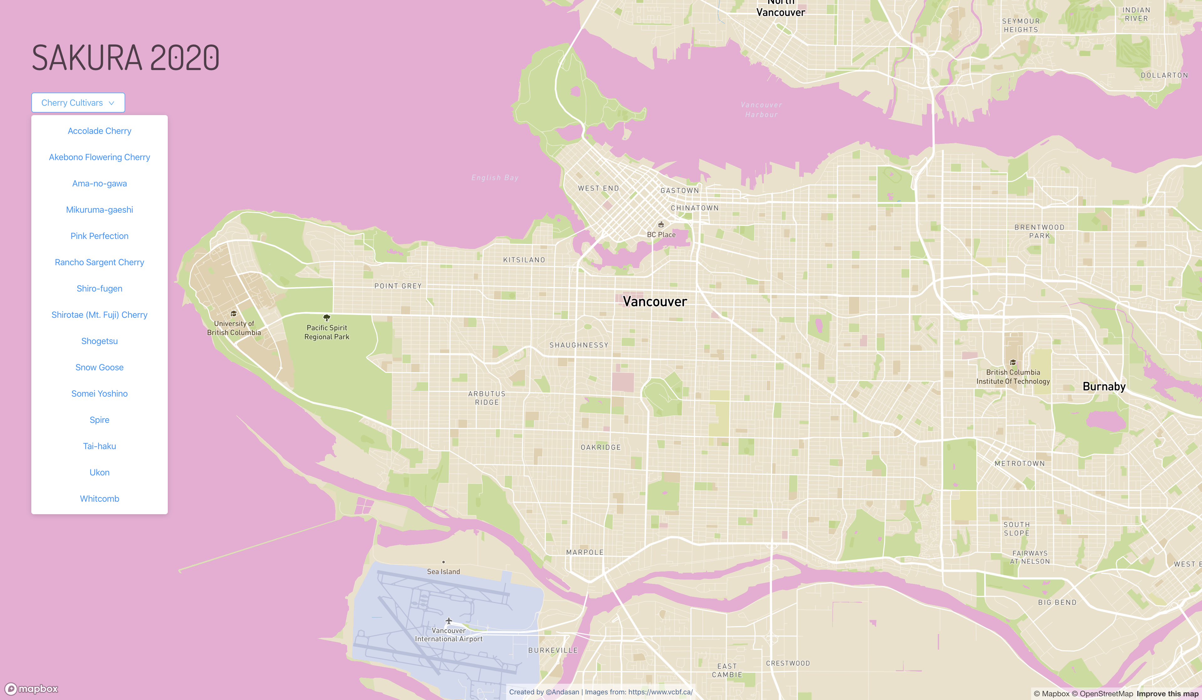 Sakura Vancouver gallery image