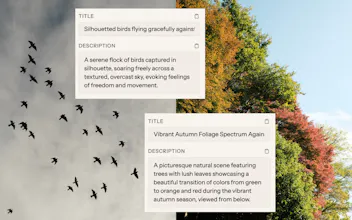 Picseta gallery image