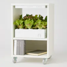 Verda Garden gallery image
