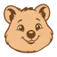 QuokkaJot β happier user insights