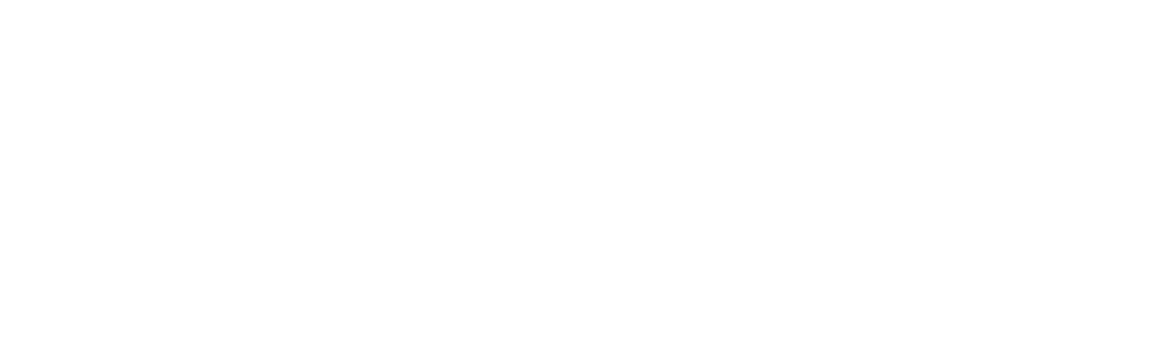 Feynman Quantum Copilot