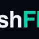 MeshFlow