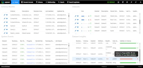 Customer Master Data Management gallery image