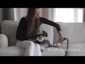 Groomrade: Smart & Mess-Free Vacuum Dog Groomer gallery image