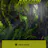 Escape from the Amazon