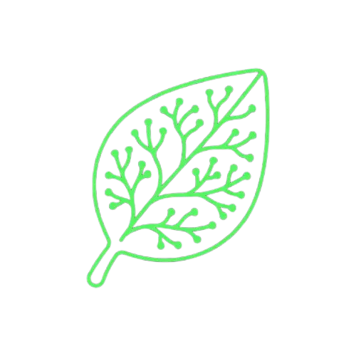 Synapse