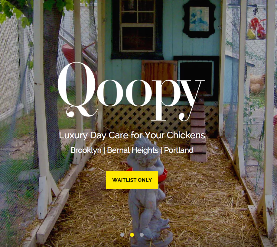 Qoopy
