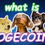 The Ultimate DOGE Guide