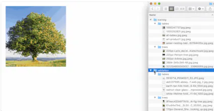 ML Image Classifier gallery image
