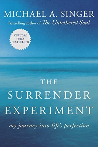 The Surrender Experiment 
