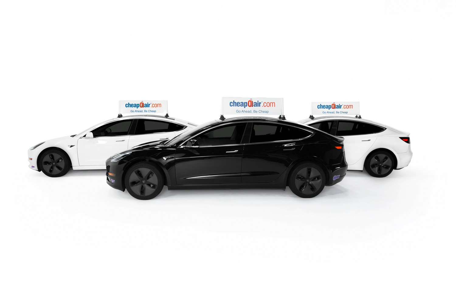 Wrapify Static+ gallery image