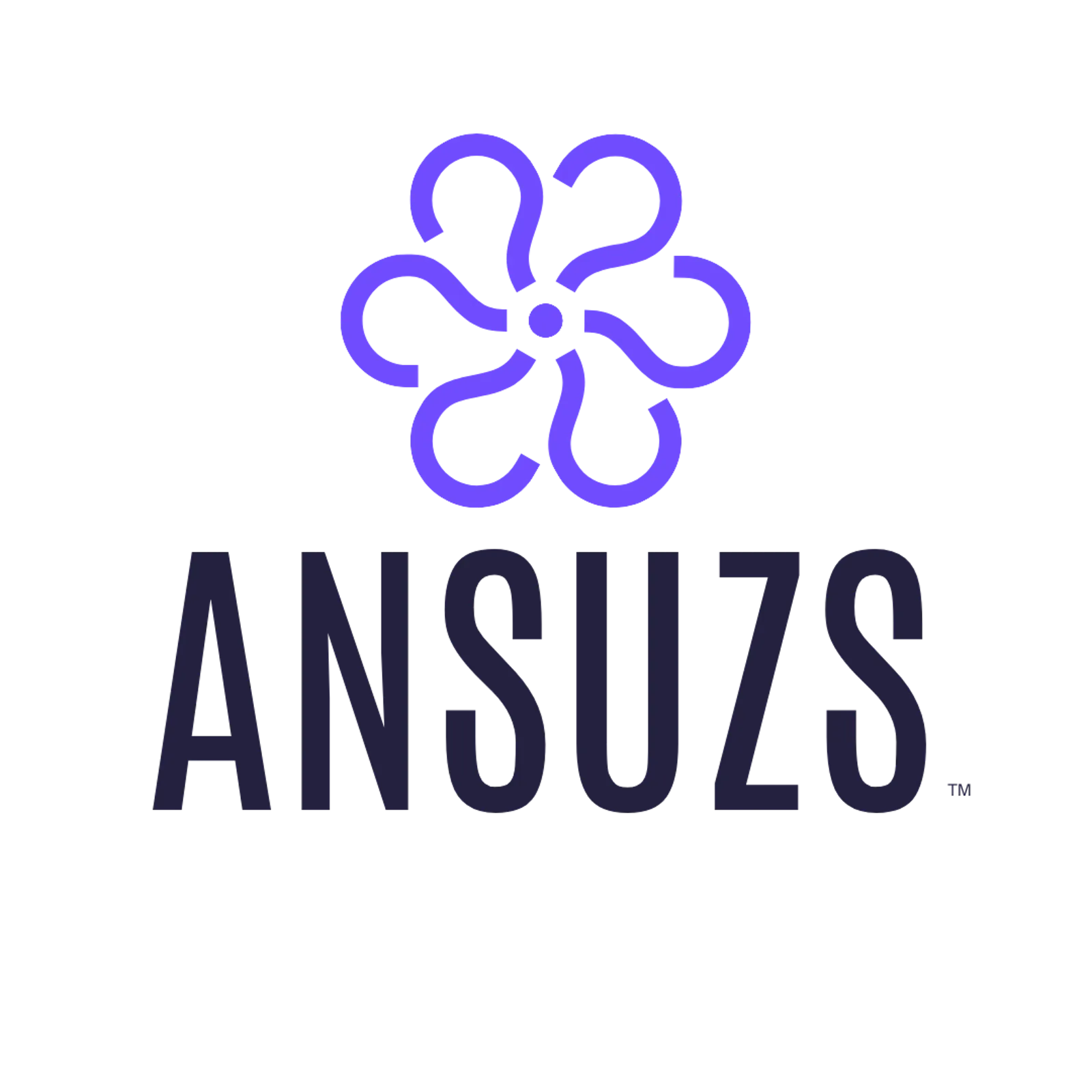 ANSUZS screenshot 2