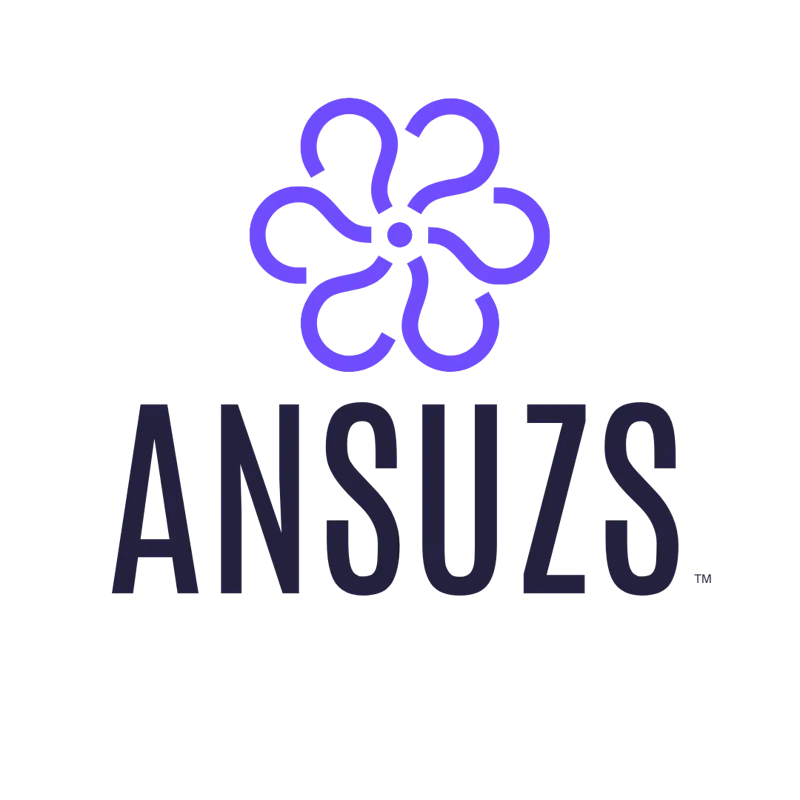 ANSUZS screenshot 2