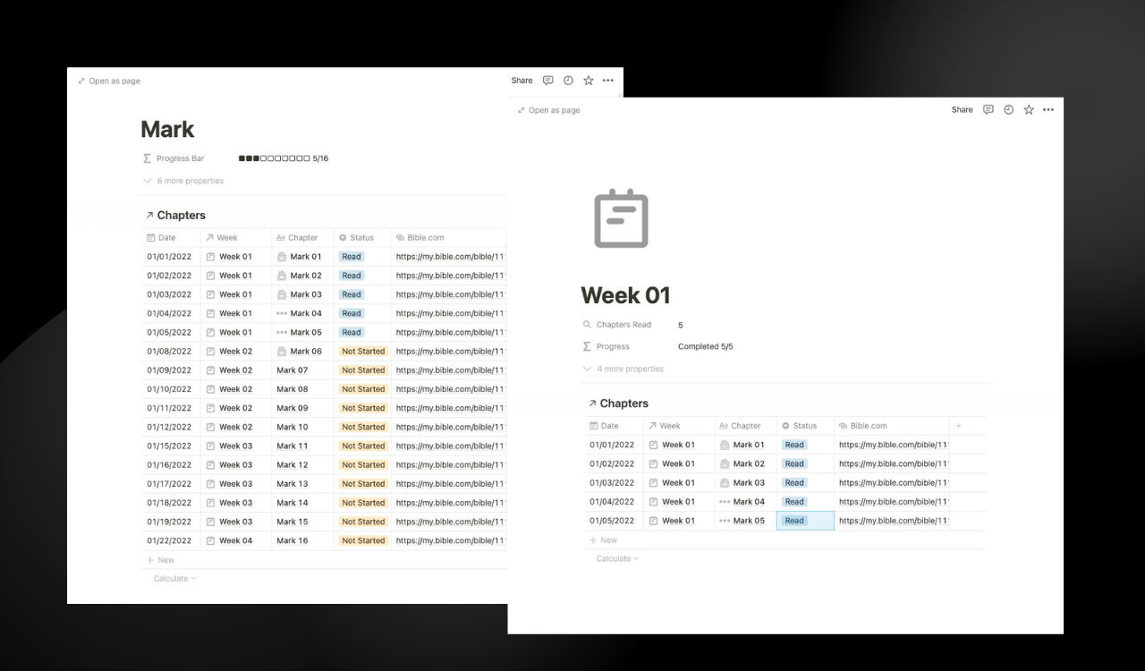 Notion Bible Reading Plan - NT gallery image