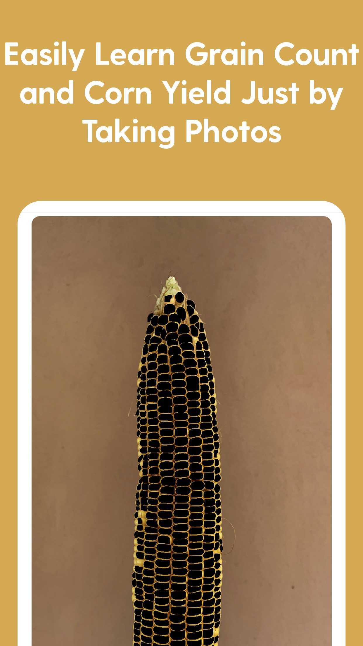 Orbit Scouting & Crop Health gallery image