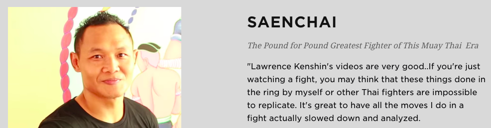 Striking Techniques  Volume. I gallery image