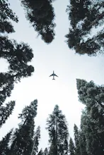 Hassle Free Airport Transfers gallery image