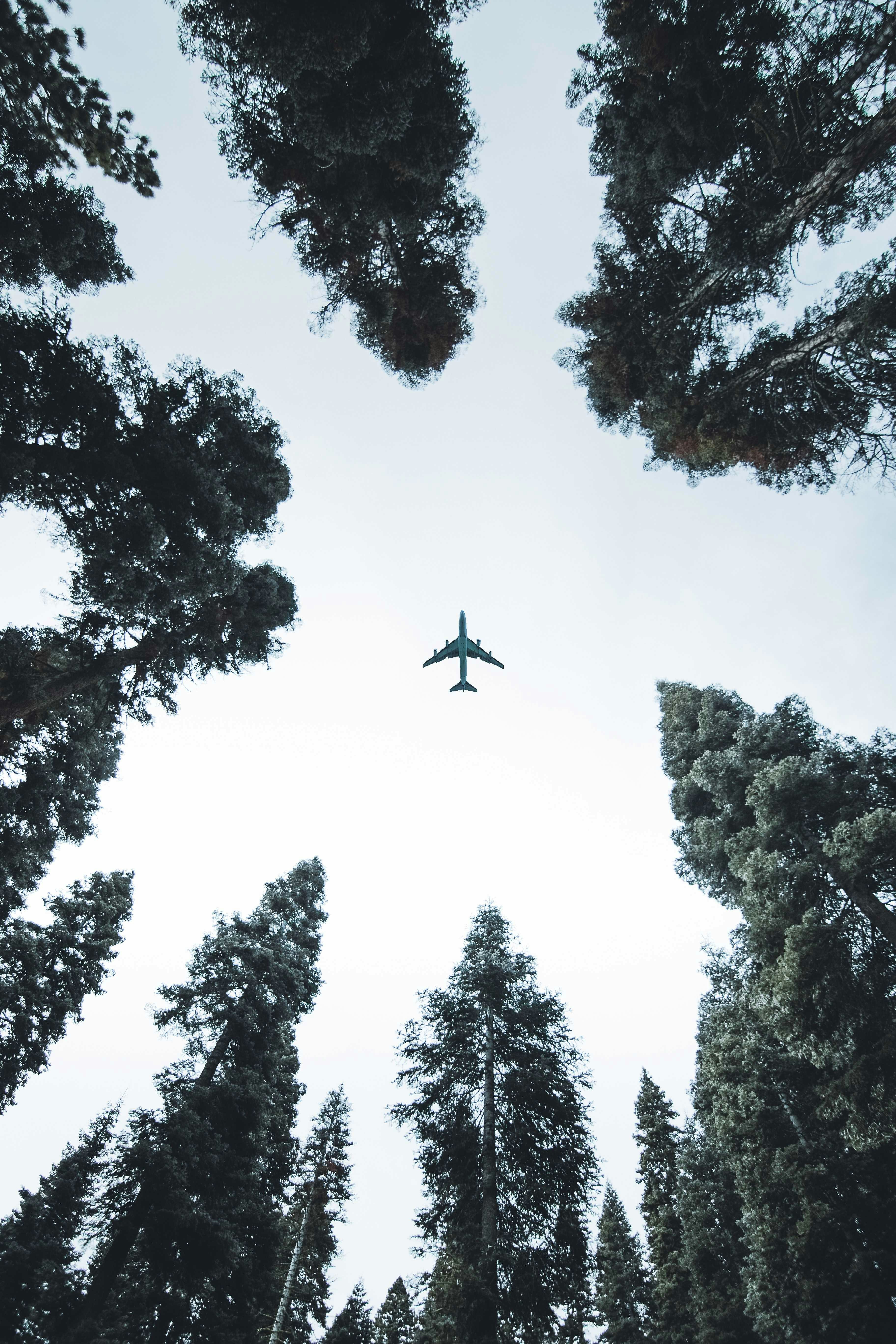 Hassle Free Airport Transfers media 7