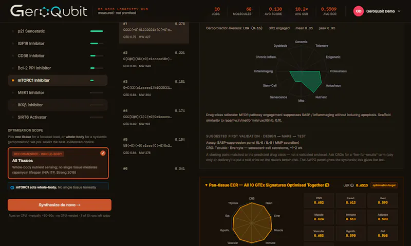 GeroQubit screenshot 10