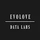 Evolove Data Labs