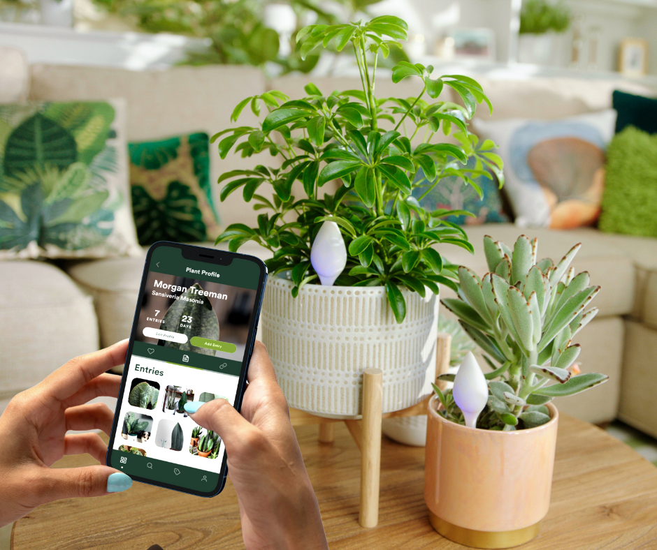 Leaflet gallery image