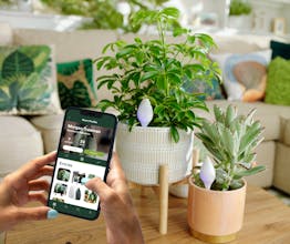 Leaflet gallery image