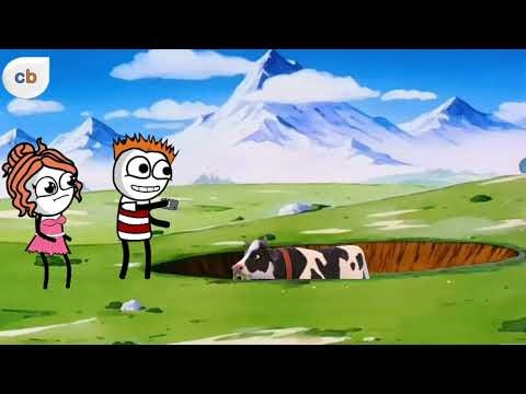 Cityhelpbook gallery image