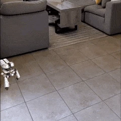 Augmented Cards