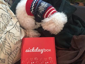 Sick Day Box gallery image