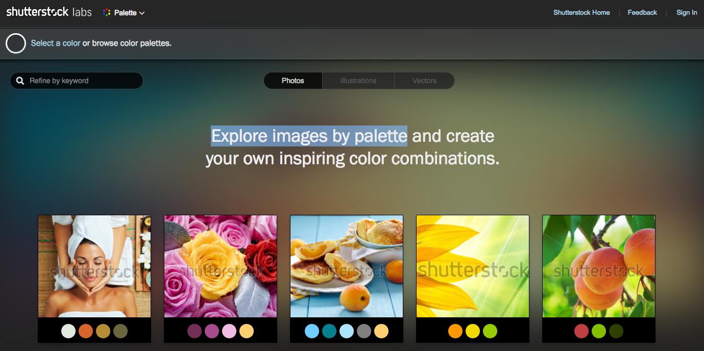 Shutterstock Editor 2.0 Image