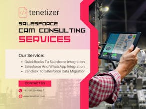 Tenetizer Salesforce Integration Product gallery image