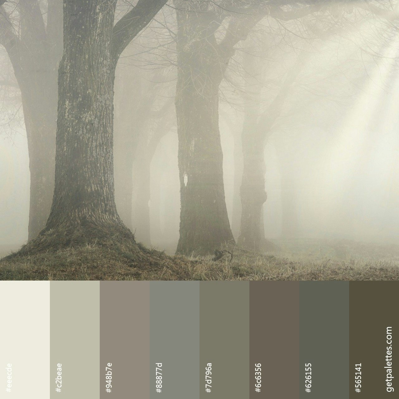 Color Palette Finder gallery image