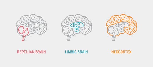 E.P.I.C. storytelling gallery image