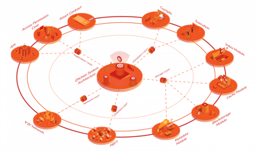 Qitchain gallery image