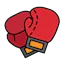 PunchPredictor