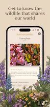 Fauna App Launch gallery image