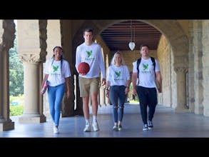 Sparrow gallery image