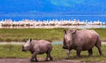 5- days Great Rift Valley Safari image