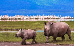 6 - Days Mara to Amboseli Safari media 1