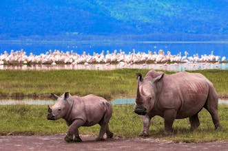 6 - Days Mara to Amboseli Safari gallery image