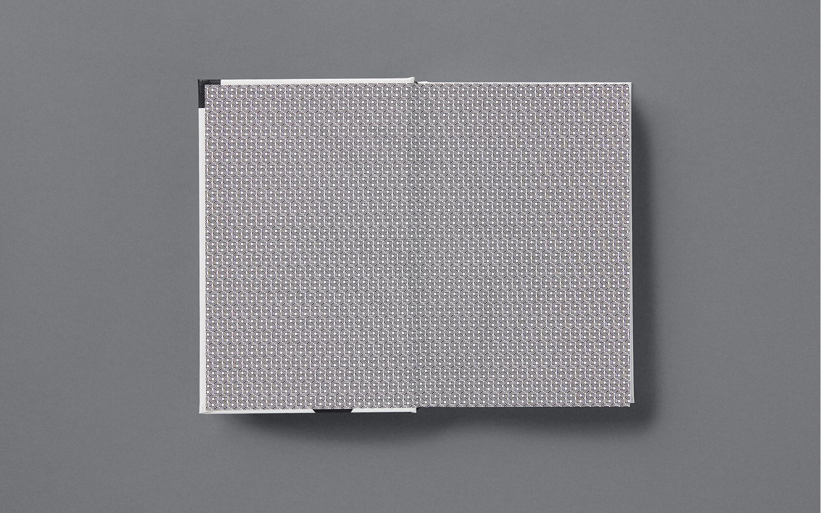 An Elegant Puzzle from Stripe Press gallery image