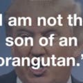 Trump Card