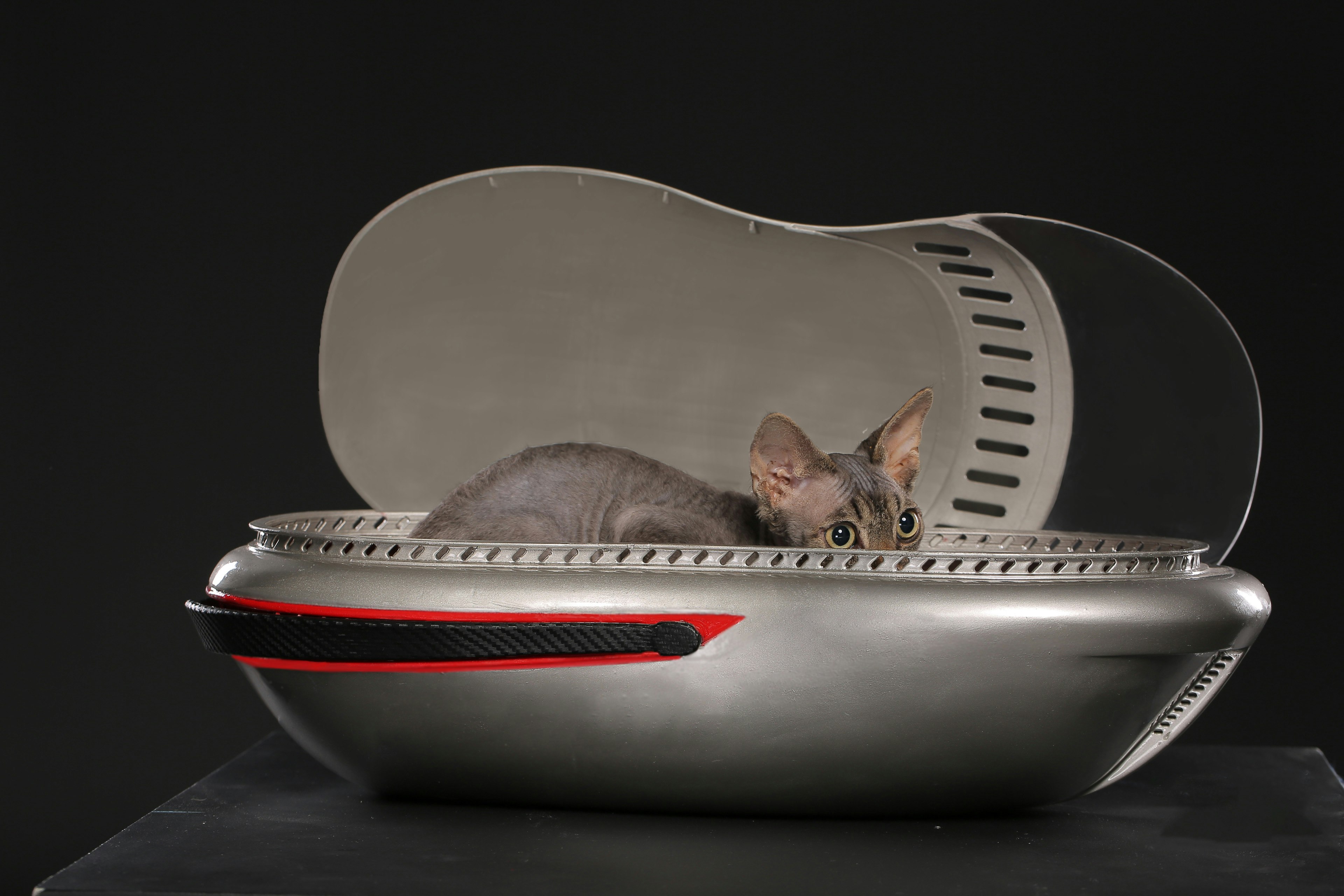 THE WORLD'S 1ST ERGONOMIC PET CARRIER gallery image