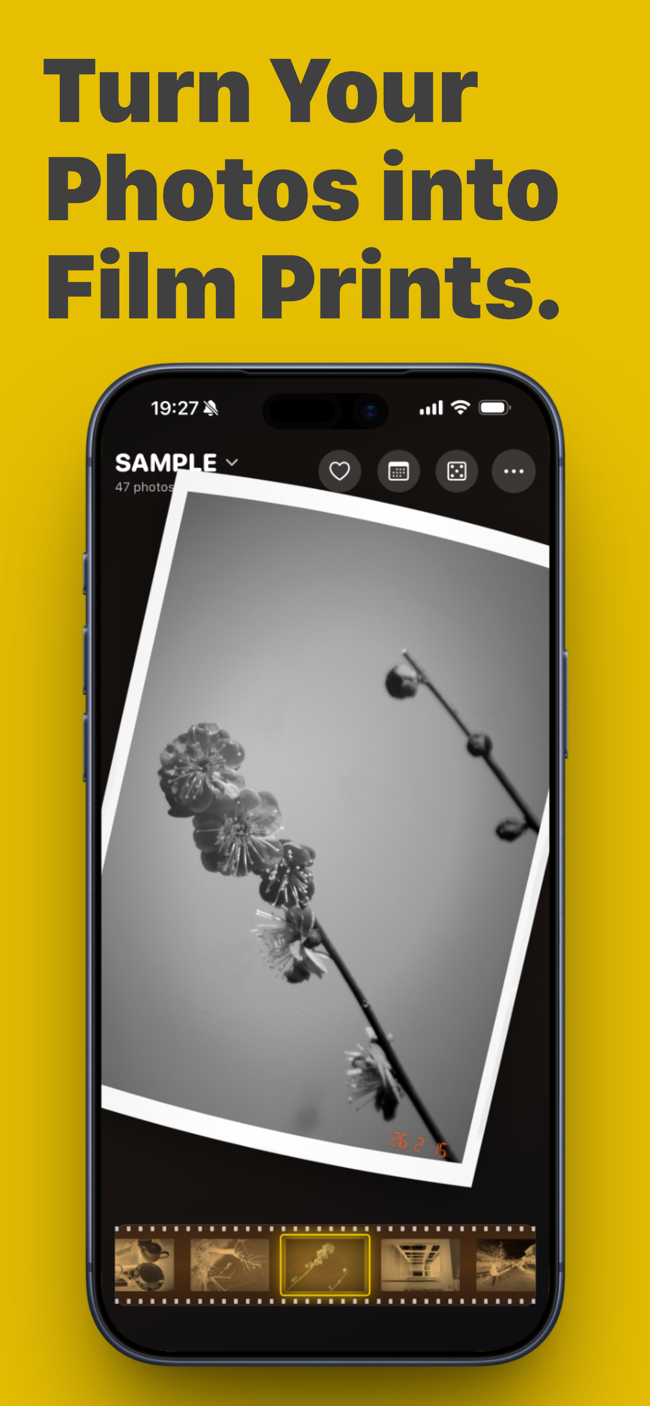 Filmic Photo gallery image